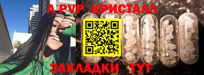 spice Нальчик