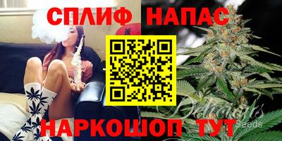 спиды Нарткала