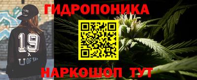 spice Нальчик