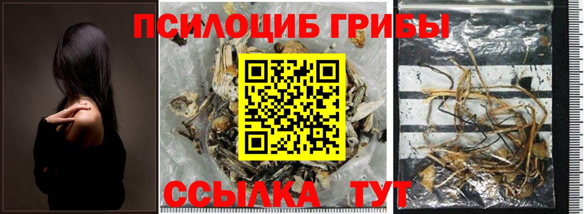 что такое наркотик  Вход с VPN  Псилоцибиновые грибы Magic Shrooms  Солнечногорск  Псилоцибиновые грибы прущие грибы 